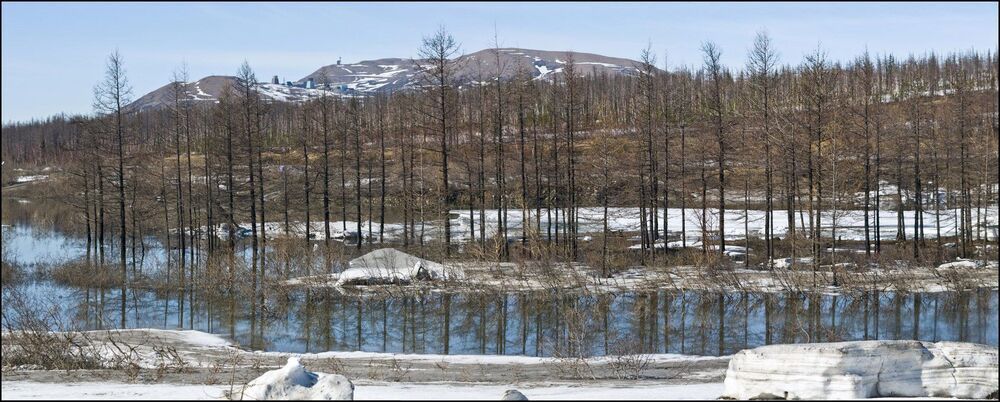 Таймыр.Июньские мотивы.