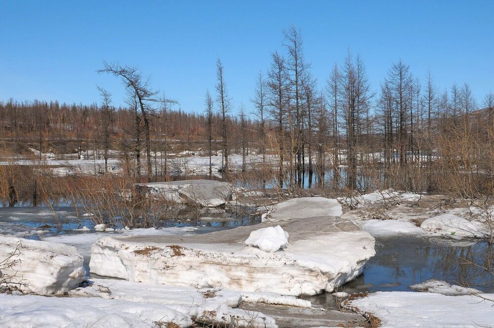 Таймыр.Июньские мотивы.