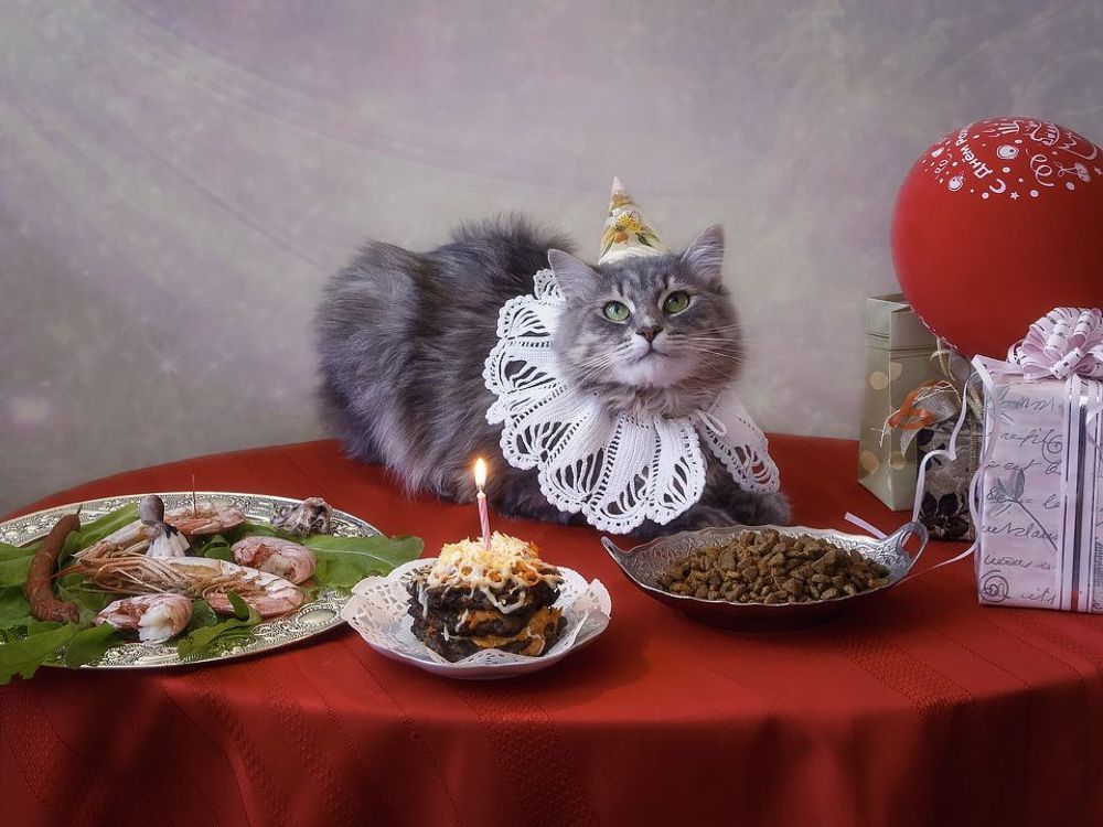 - Какое бы желание загадать?