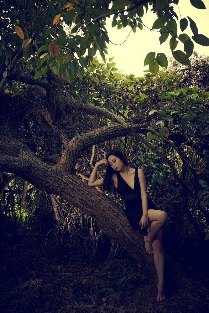 Photo 1115042