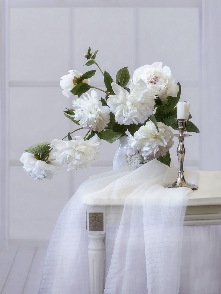 С белыми пионами