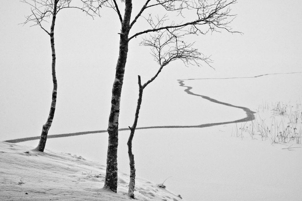 Photo 1115404