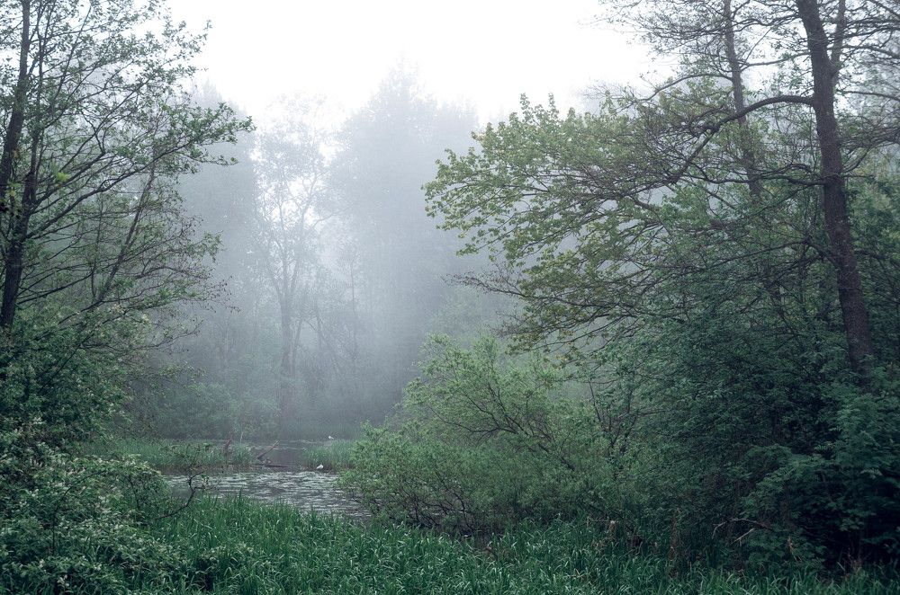 Photo 1115991