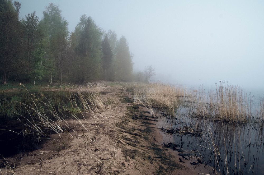 Photo 1115992