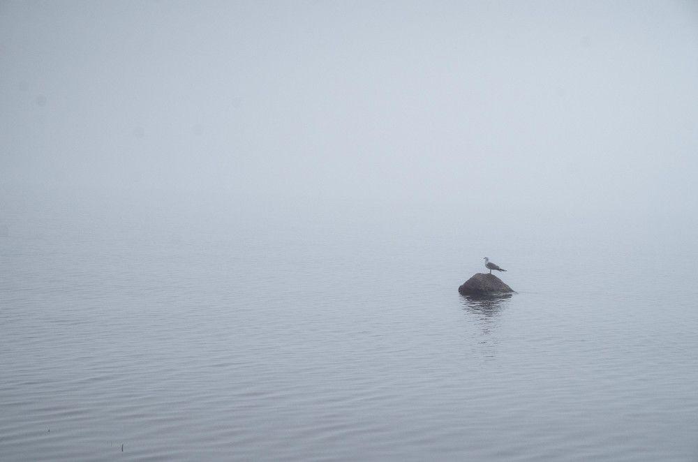 Photo 1115993