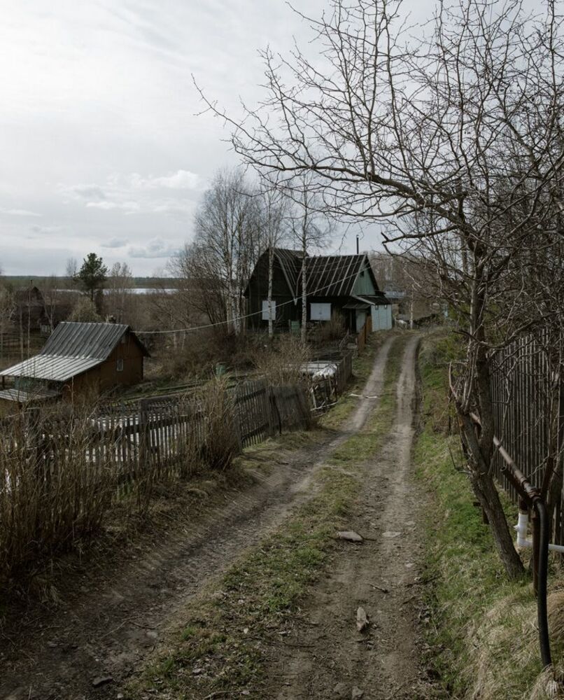 Тростяное просыпается