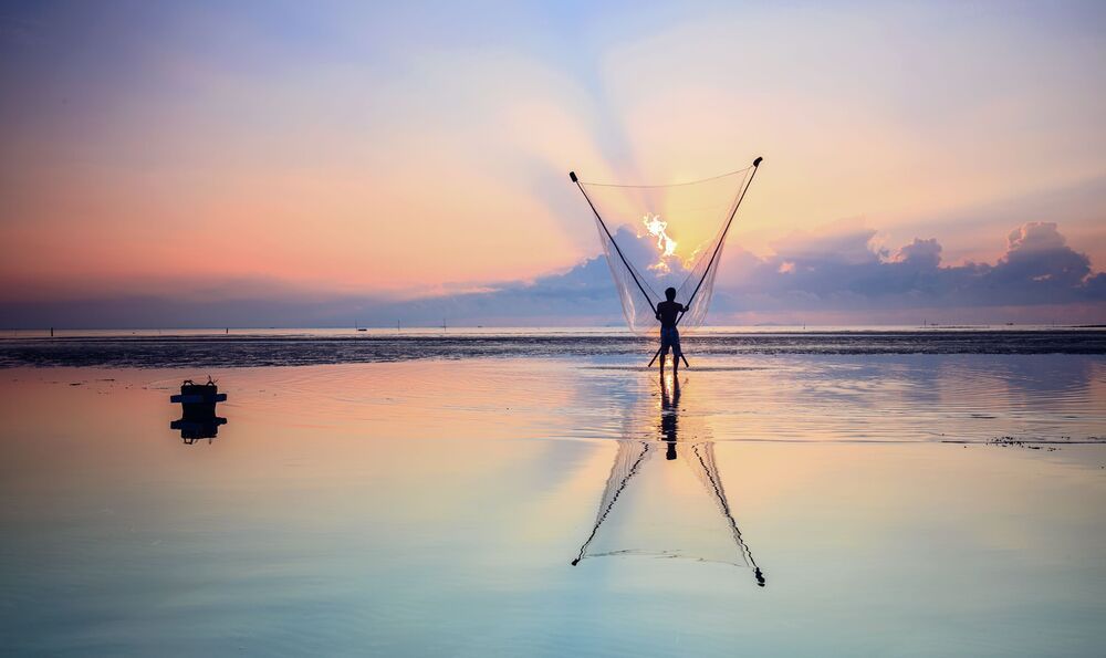 Raise the sunrise
