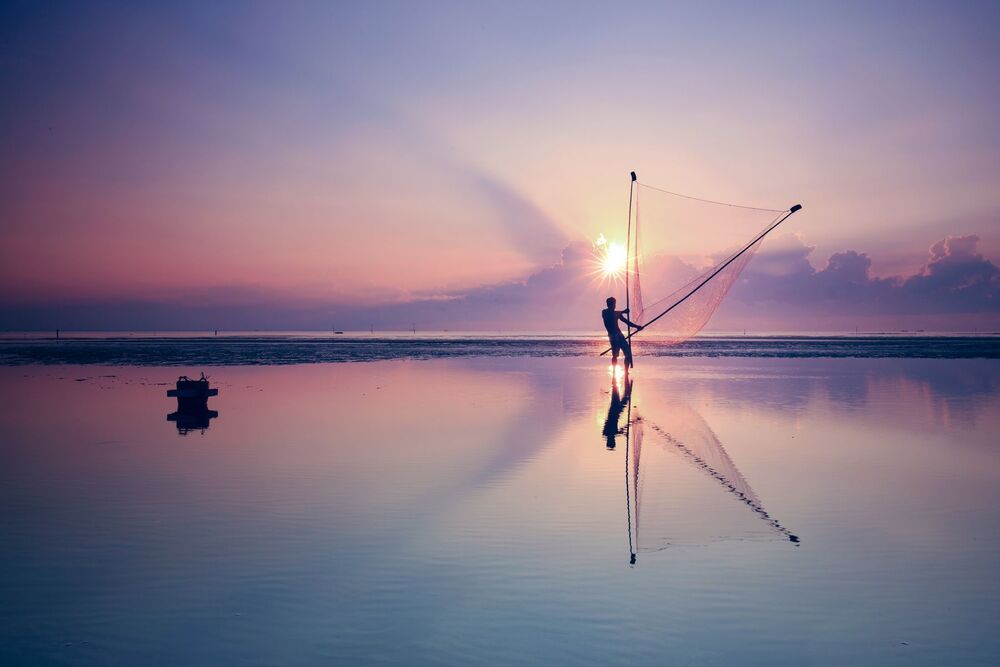 Raise the sunrise