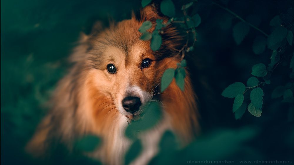 Photo 1116757