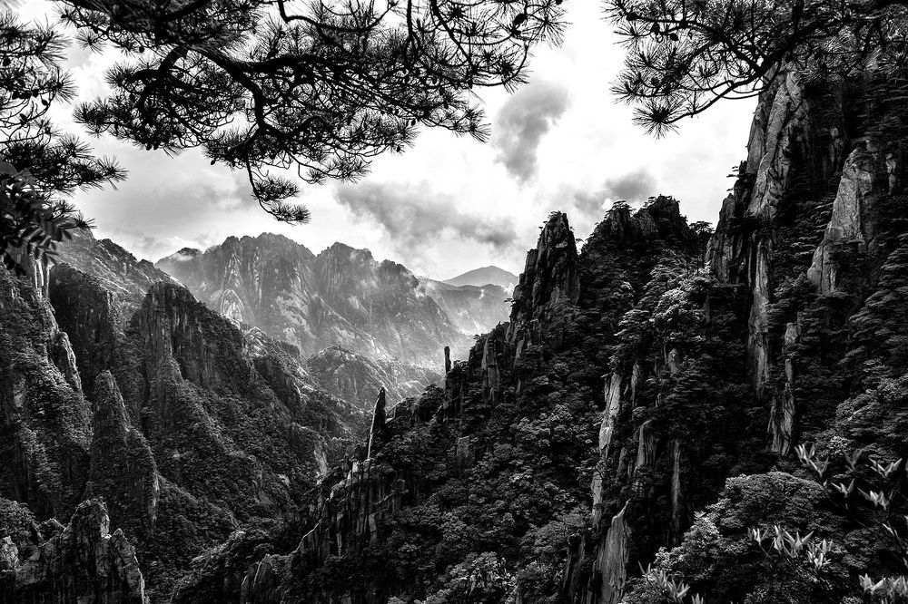 Nature's Drawings... Huangshan.