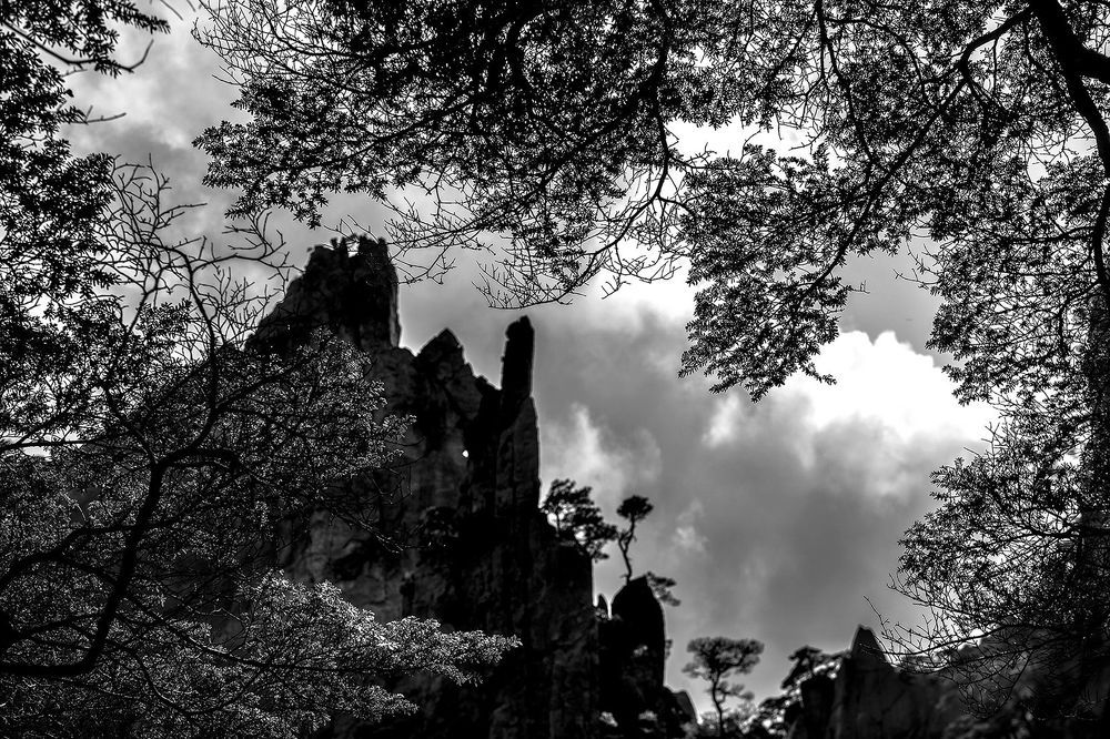 Nature's Drawings... Huangshan.