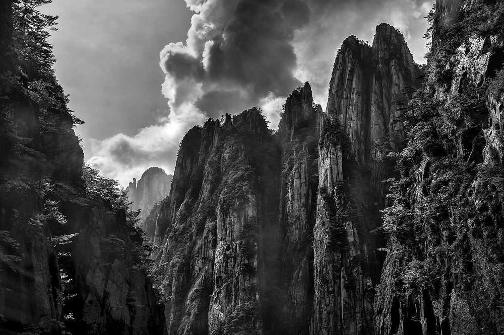 Nature's Drawings... Huangshan.