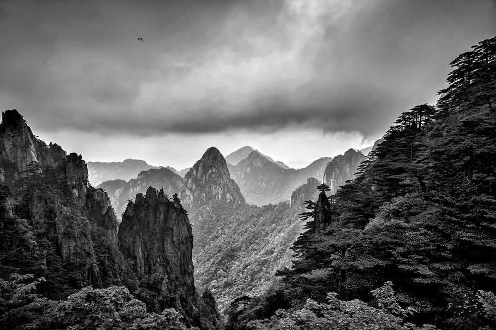 Nature's Drawings... Huangshan.