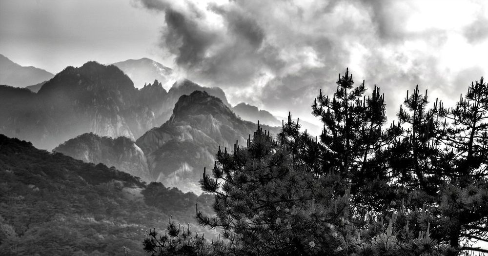 Nature's Drawings... Huangshan.