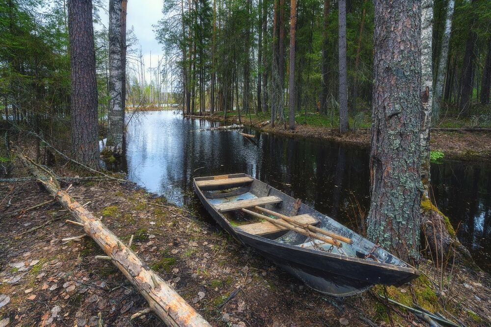 "У лесной реки"