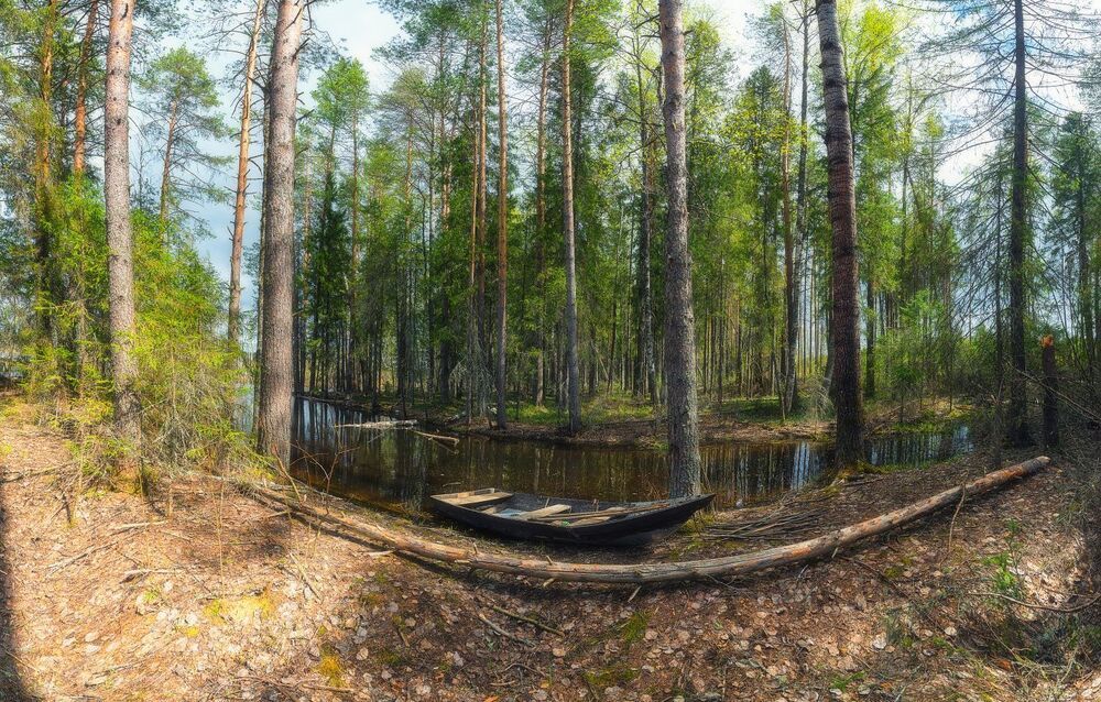 "У лесной реки"