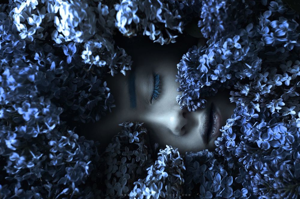 С п я щ а я   в   с и р е н и