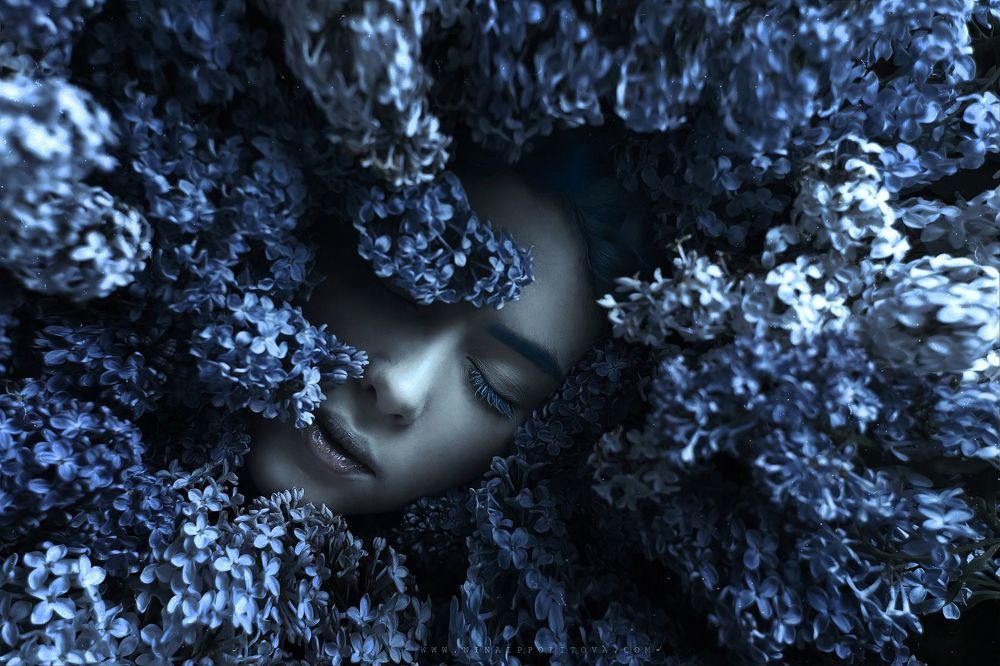 С п я щ а я   в   с и р е н и