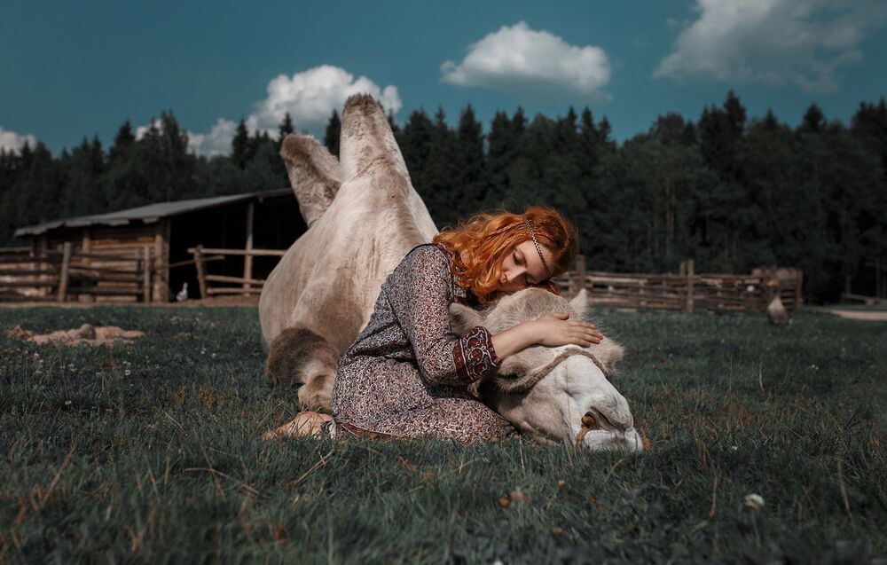 Анималистика