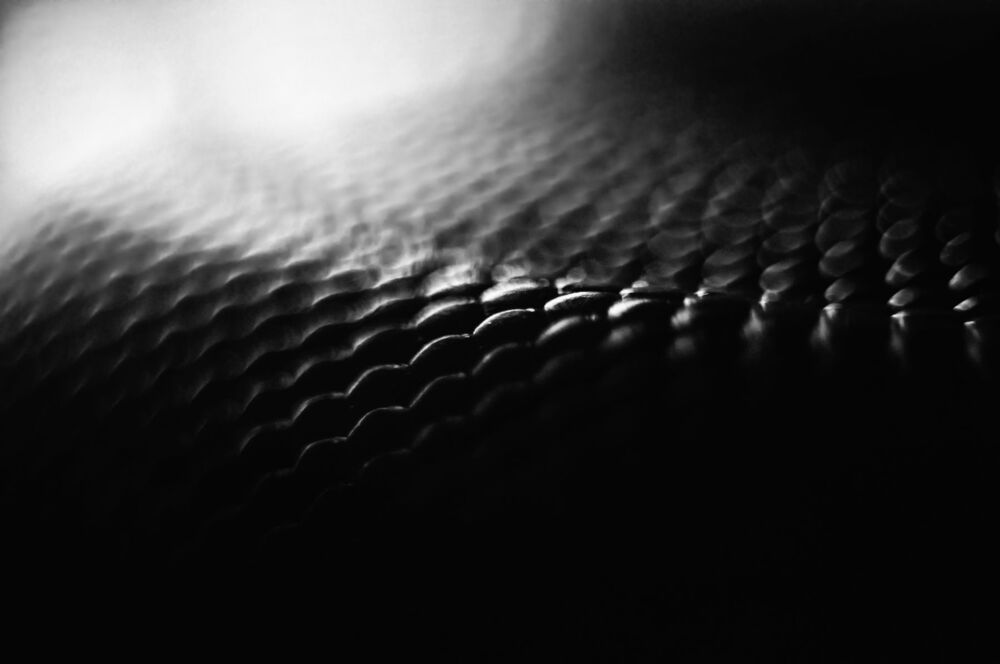 Photo 1120042