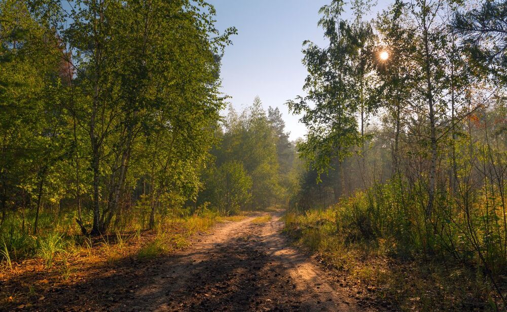 Утренняя тишина