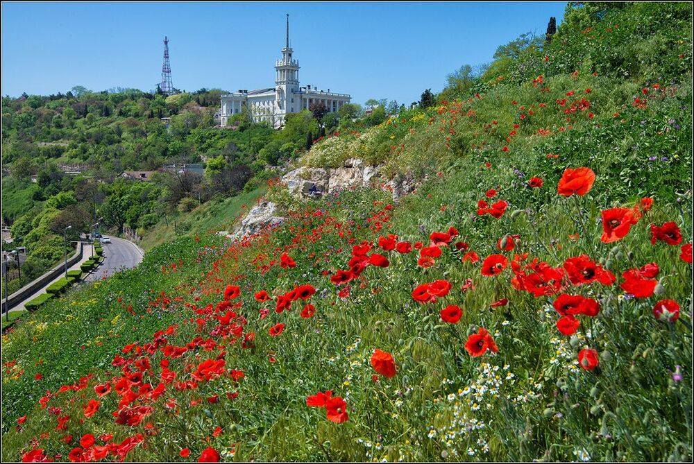 Город Севастополь