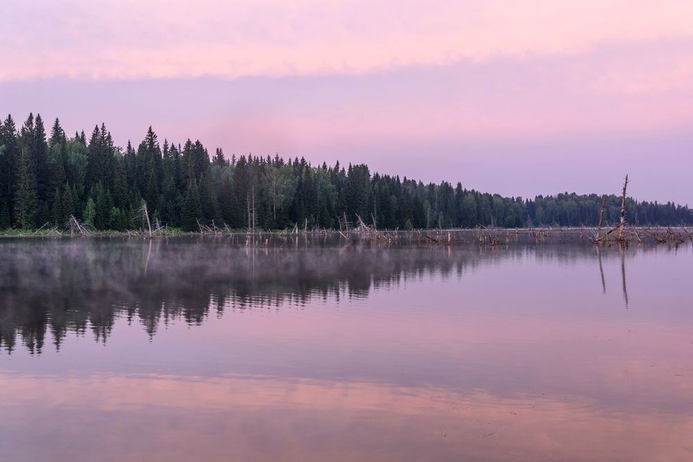 Рассвет
