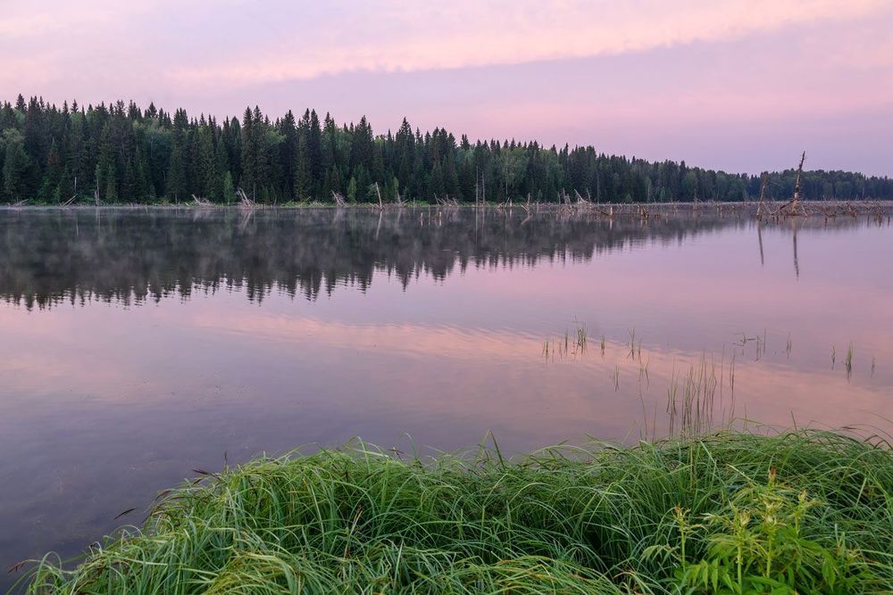 Рассвет