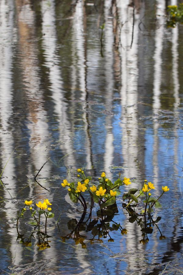 Photo 1120606