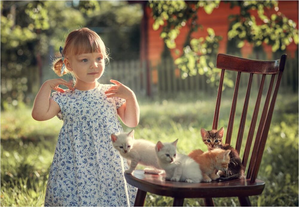 А у нас сегодня кошка родила вчера котят...
