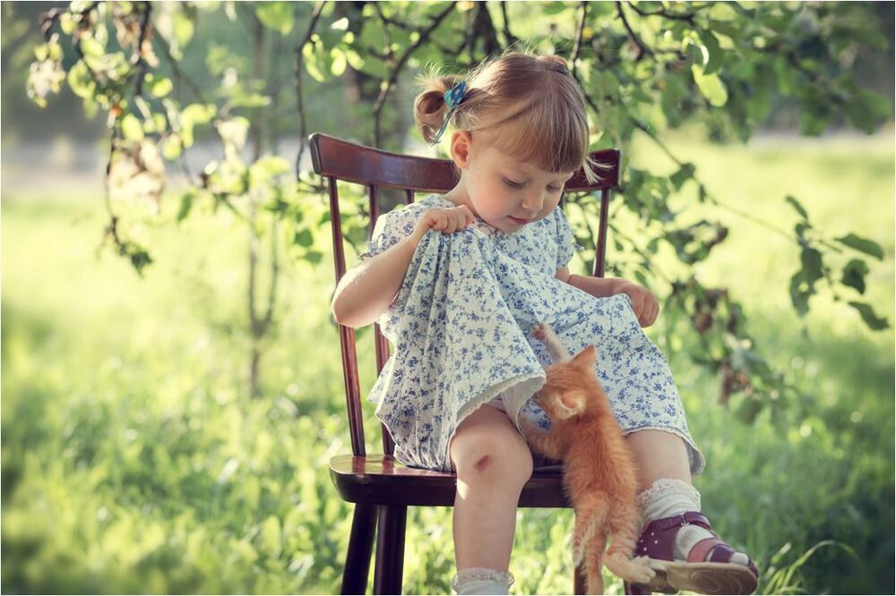 А у нас сегодня кошка родила вчера котят...