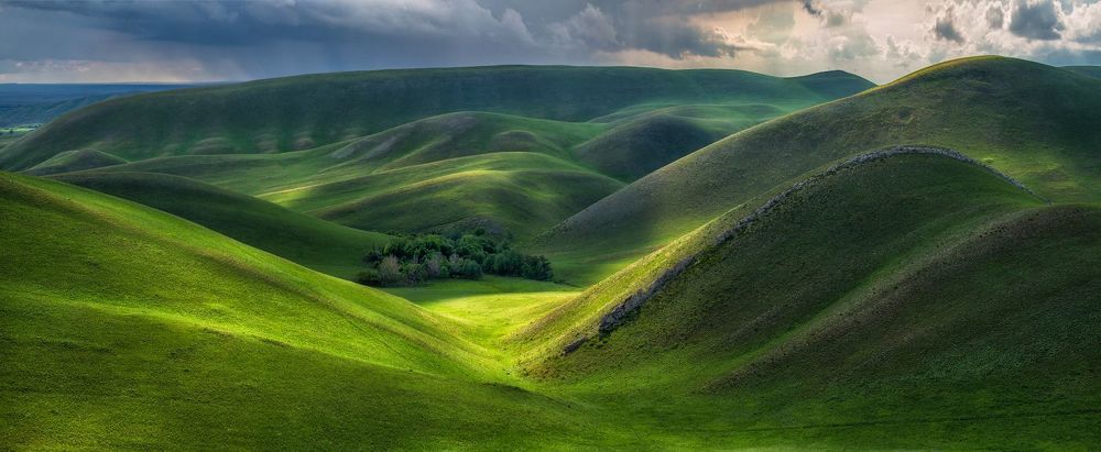 Бархат Южного Урала.
