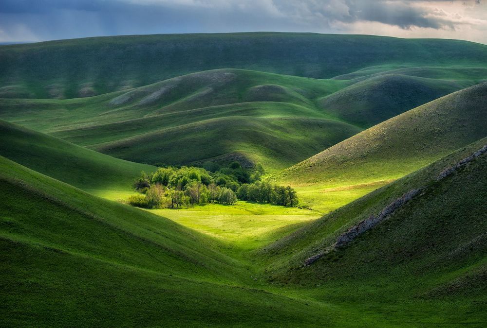 Бархат Южного Урала.