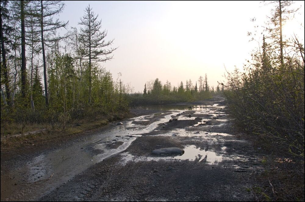 Вот и лето пришло