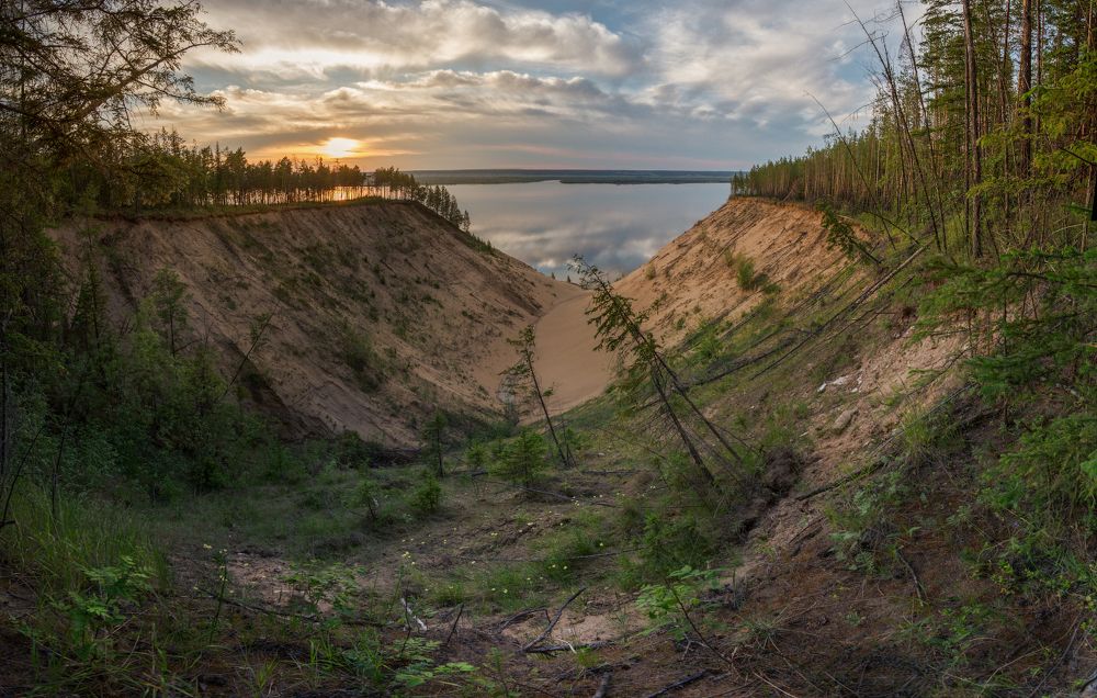 около Ленских