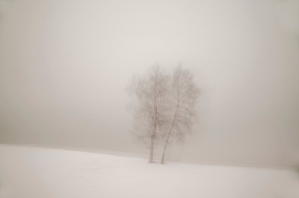 пейзажи