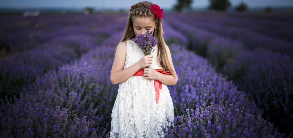 Lavanda