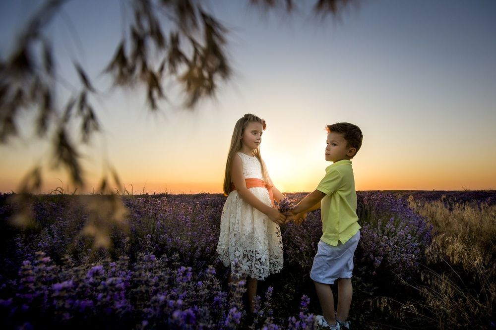 Lavanda