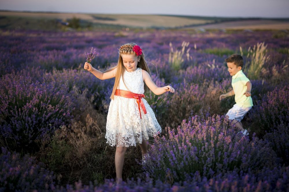 Lavanda