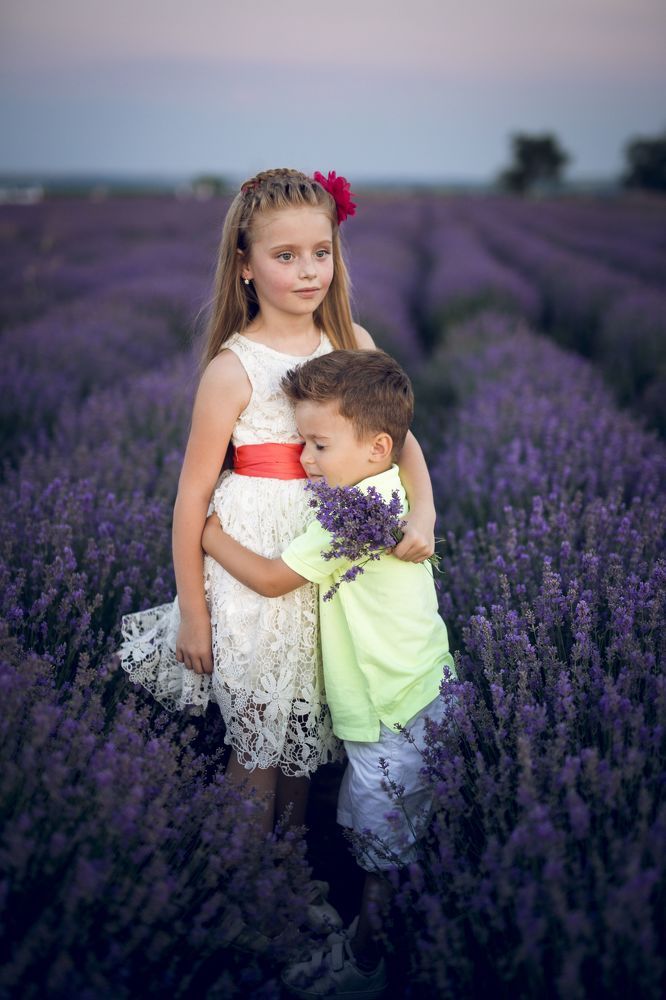 Lavanda