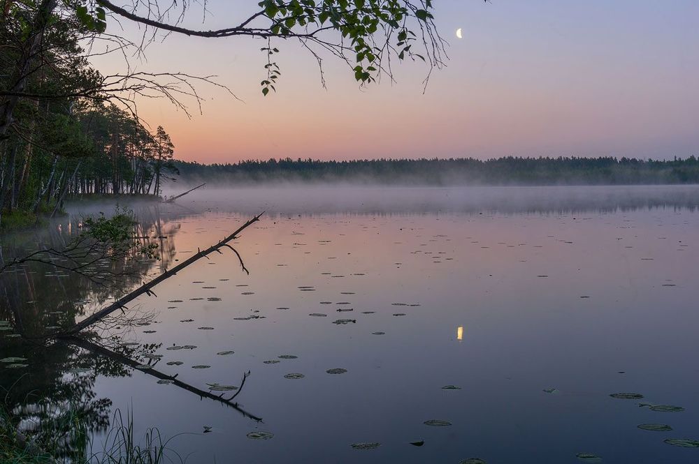 про месяц и тихий рассвет на лесном озере...)