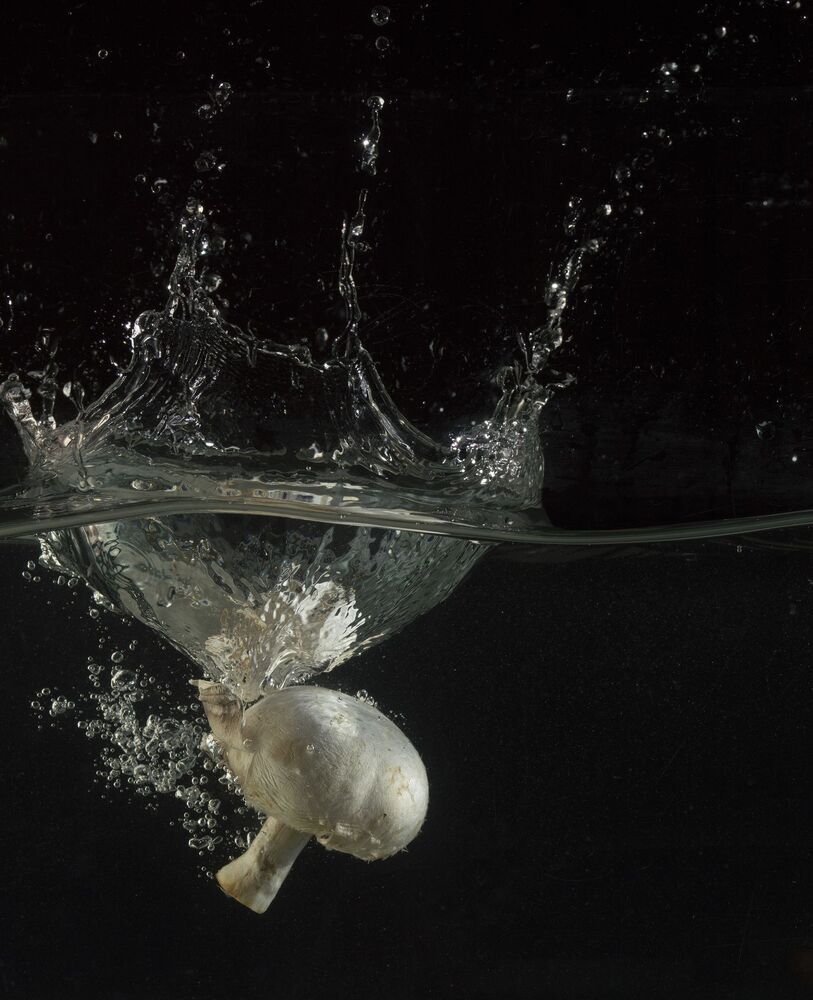 Martin Wace Photographic