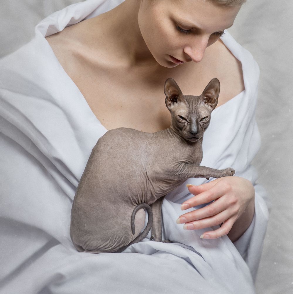 Photo 1125542