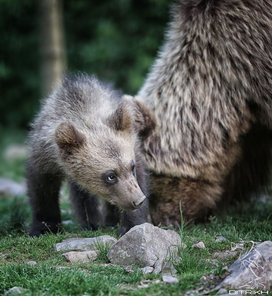 Photo 1126744