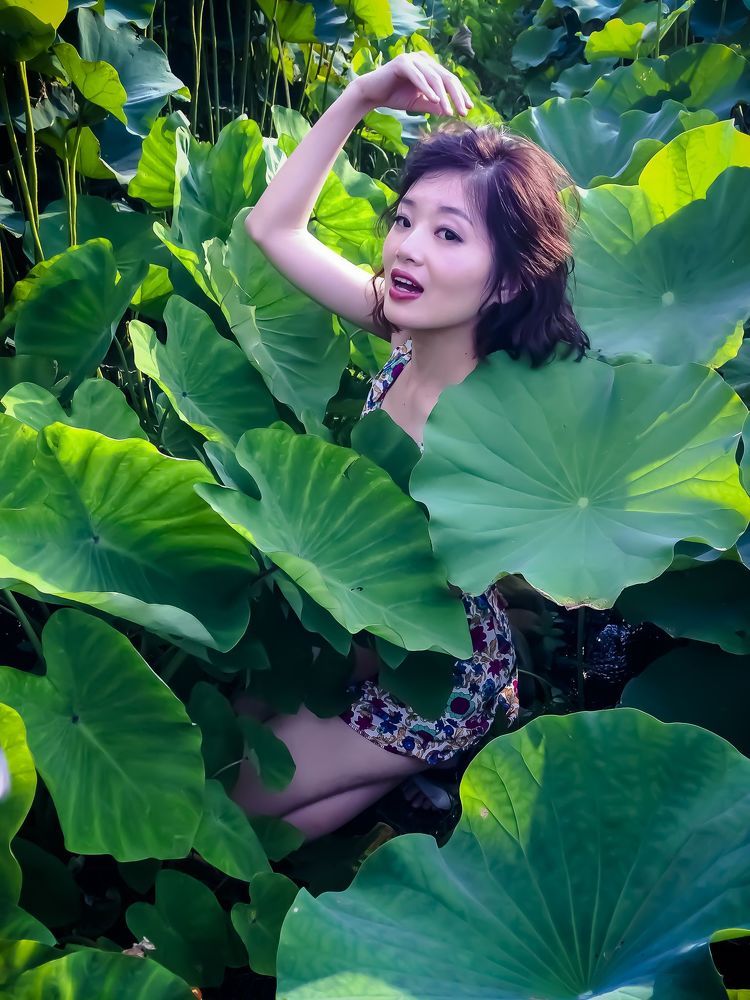 Lotus