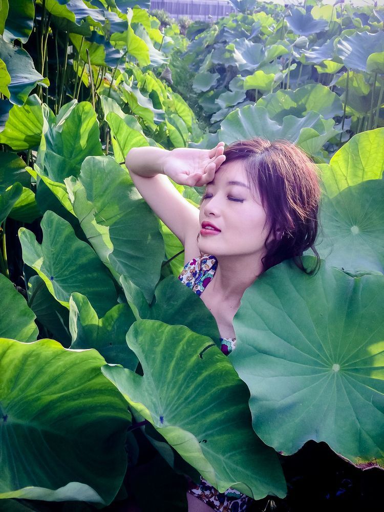 Lotus