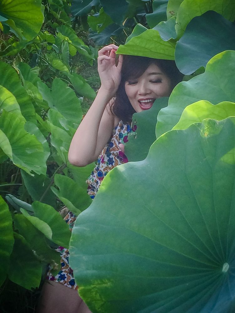 Lotus