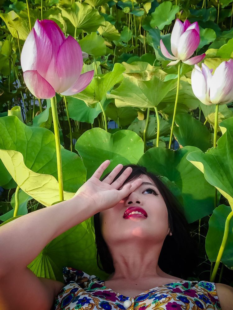 Lotus