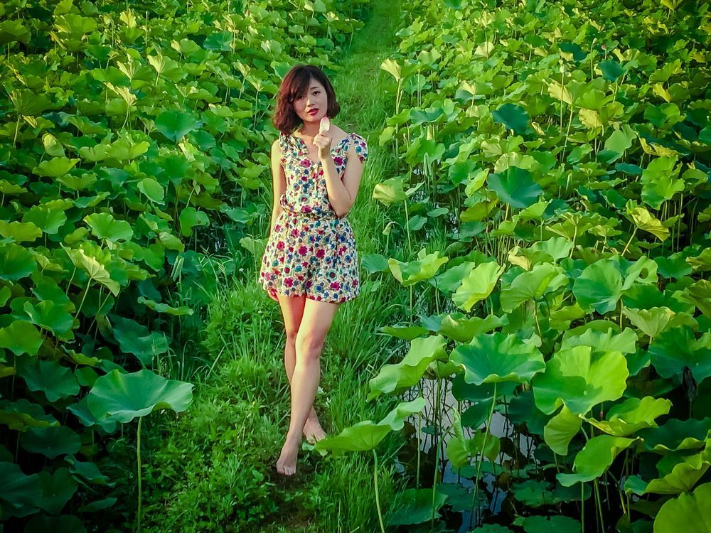 Lotus