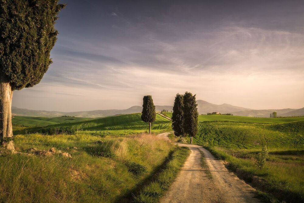Landscapes